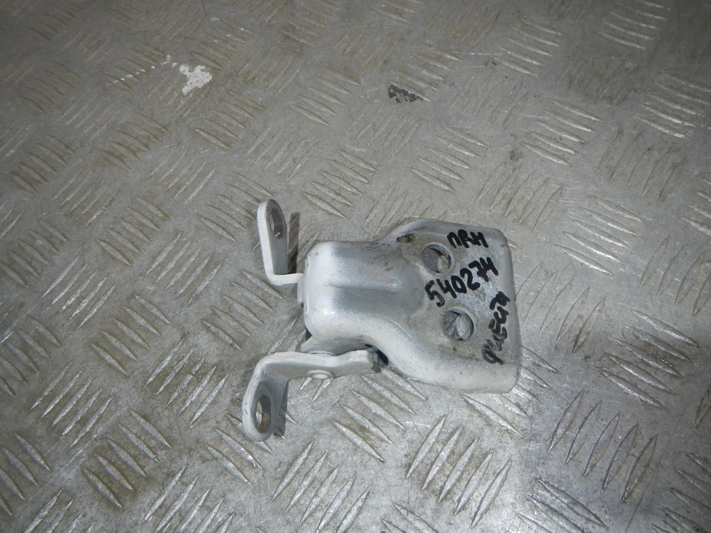 Петля двери передней правой нижняя