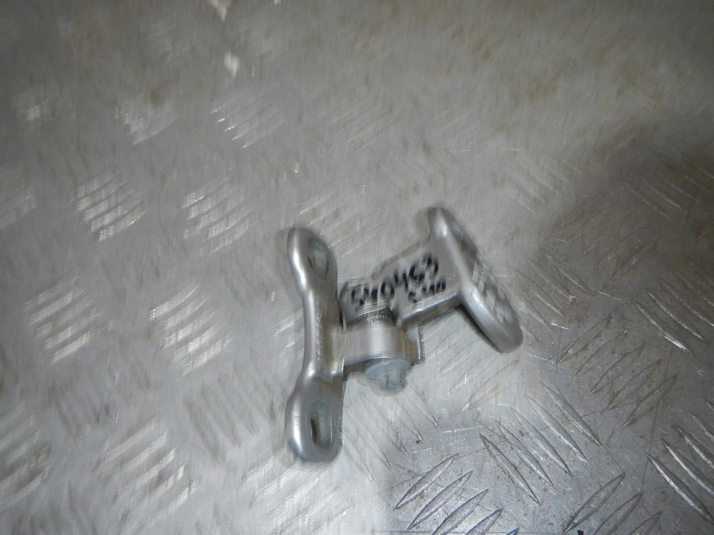 Петля двери задней правой нижняя