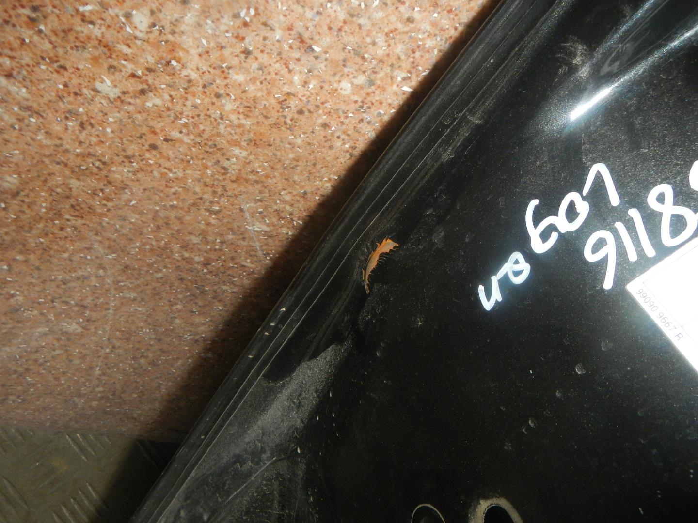 Дверь передняя левая