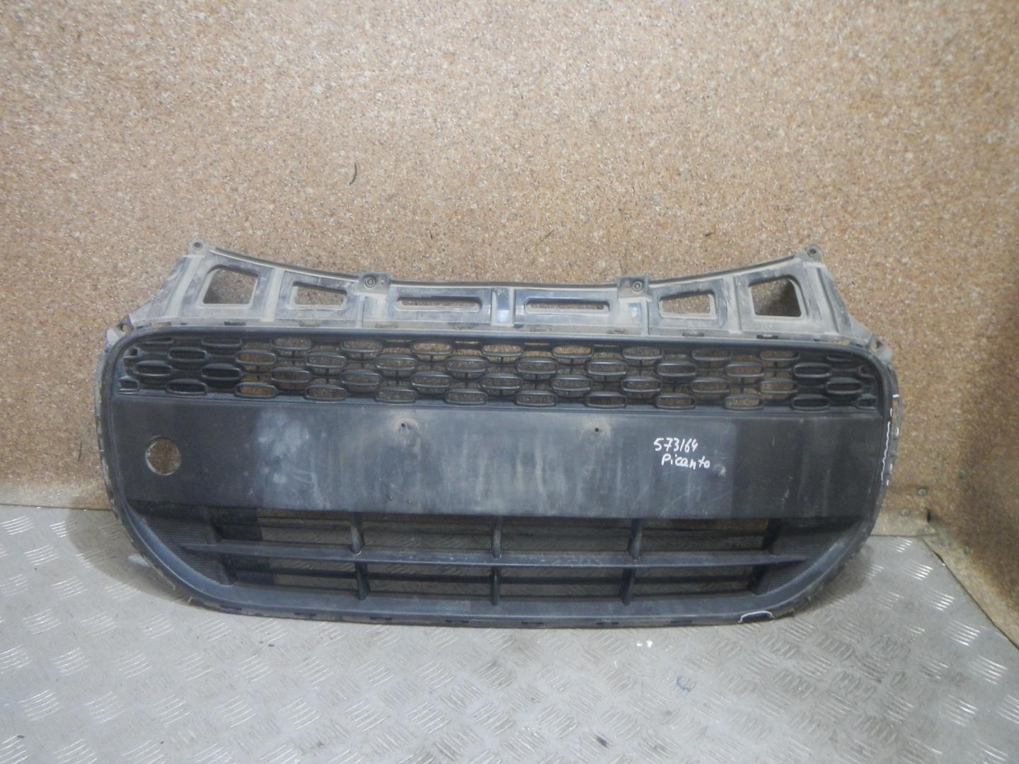 Решетка в бампер центральная