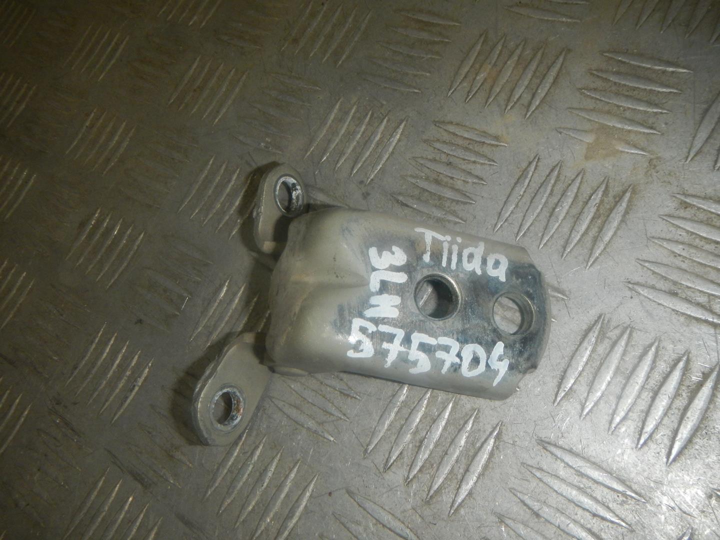 Петля двери задней левой нижняя