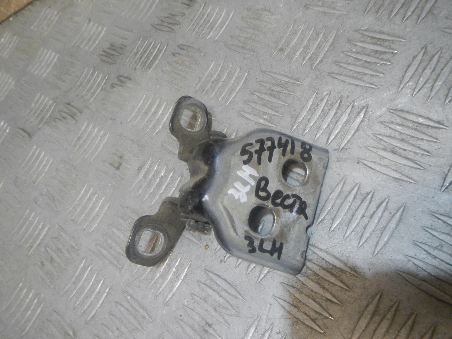 Петля двери задней левой нижняя