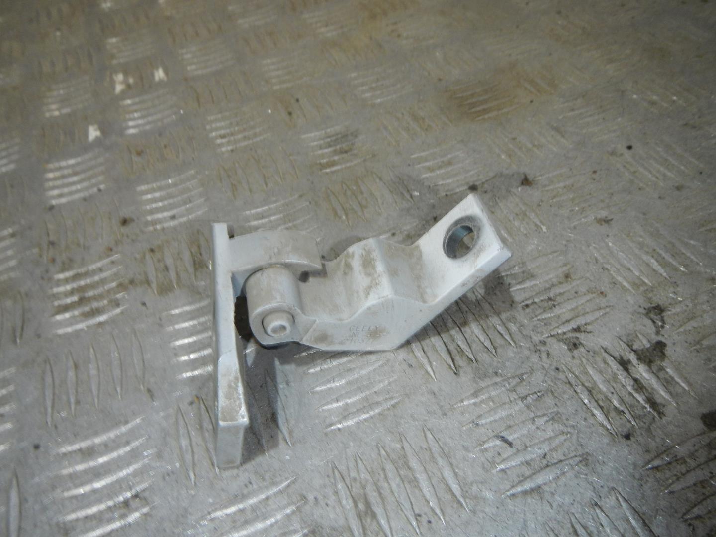 Петля двери передней правой нижняя