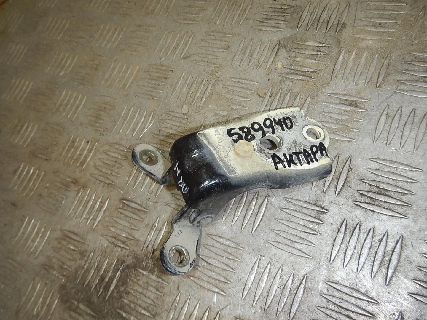 Петля двери передней правой нижняя