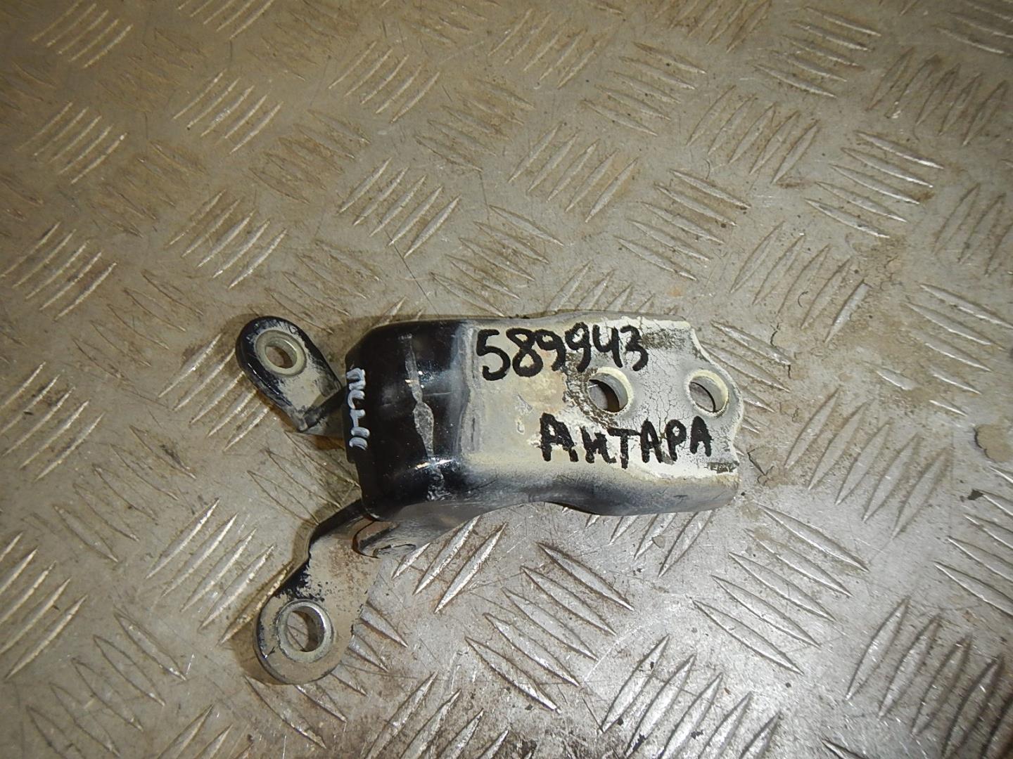 Петля двери передней левой нижняя