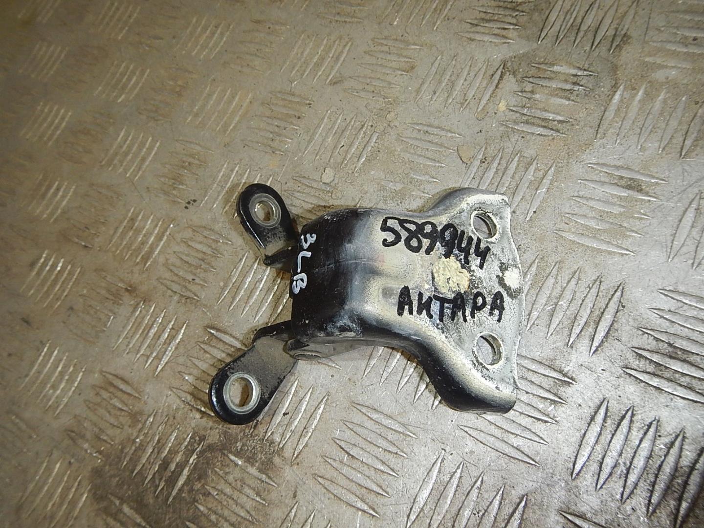 Петля двери задней левой верхняя