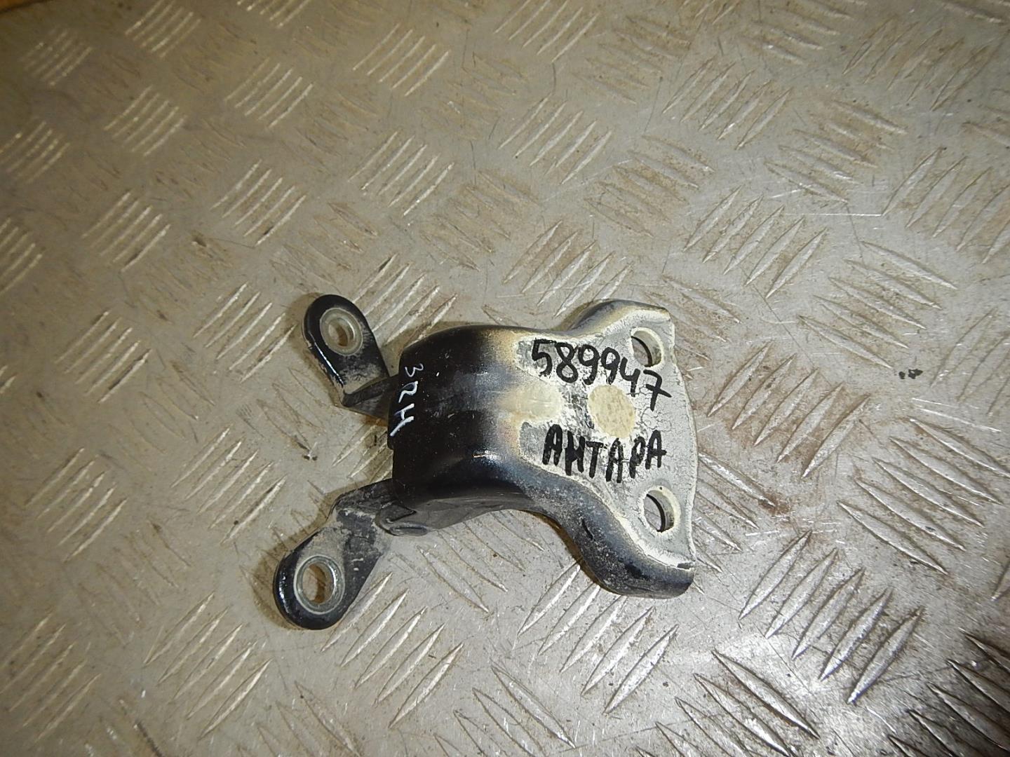 Петля двери задней правой нижняя