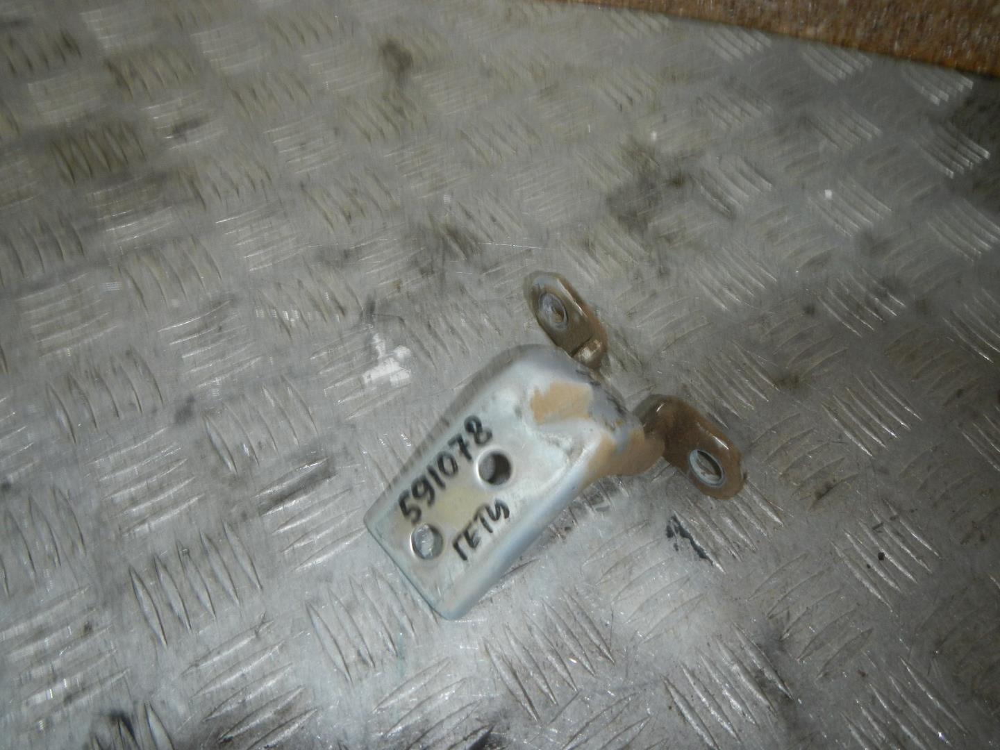 Петля двери задней левой нижняя