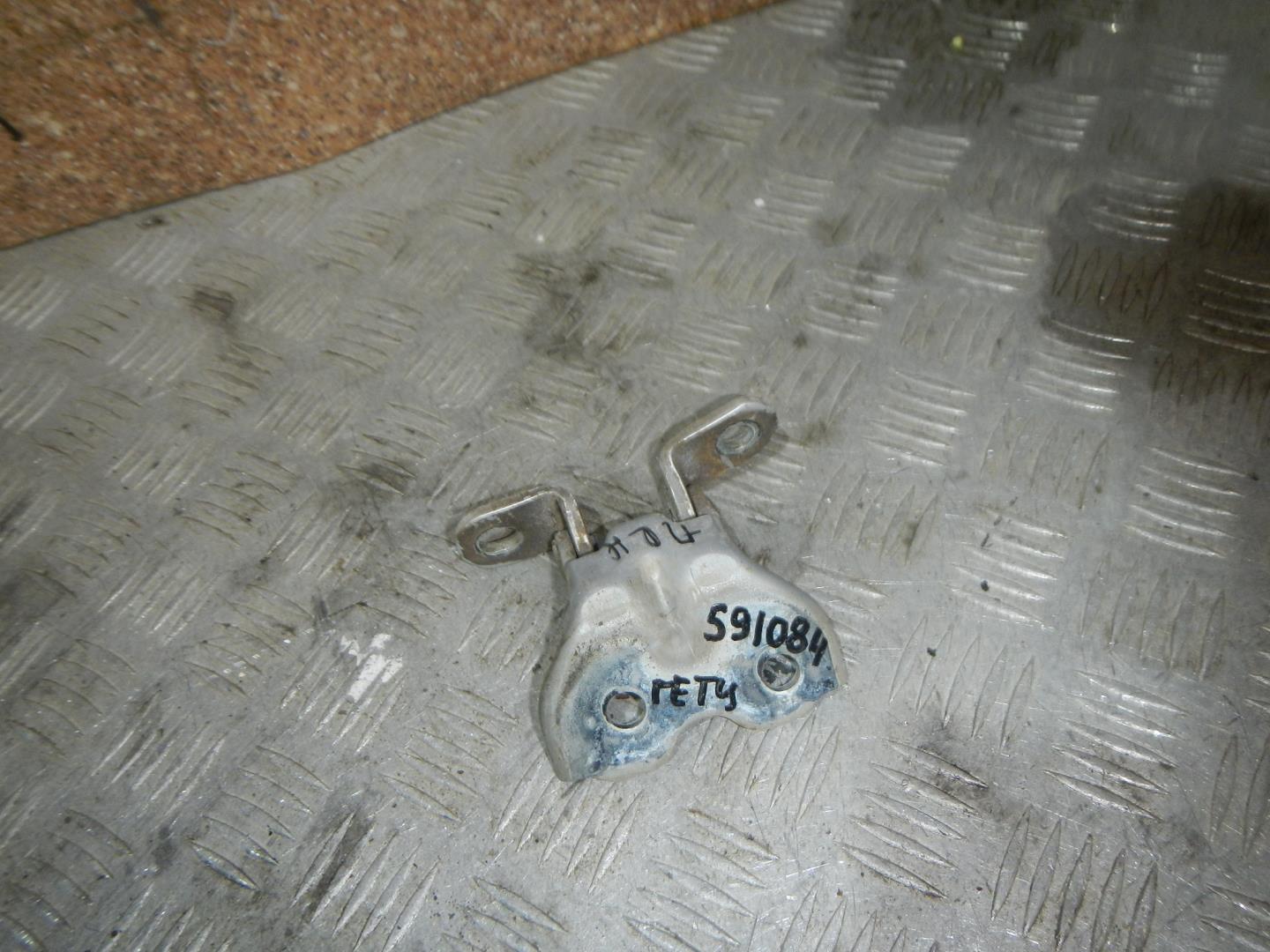 Петля двери передней правой нижняя