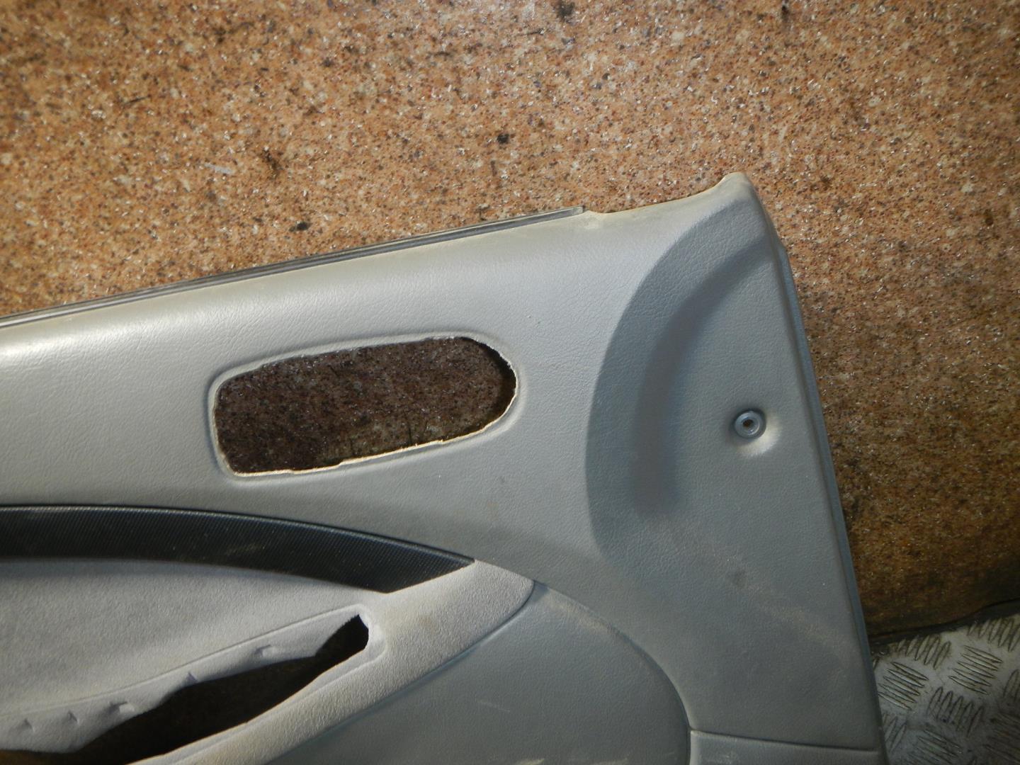 Обшивка двери передней левой