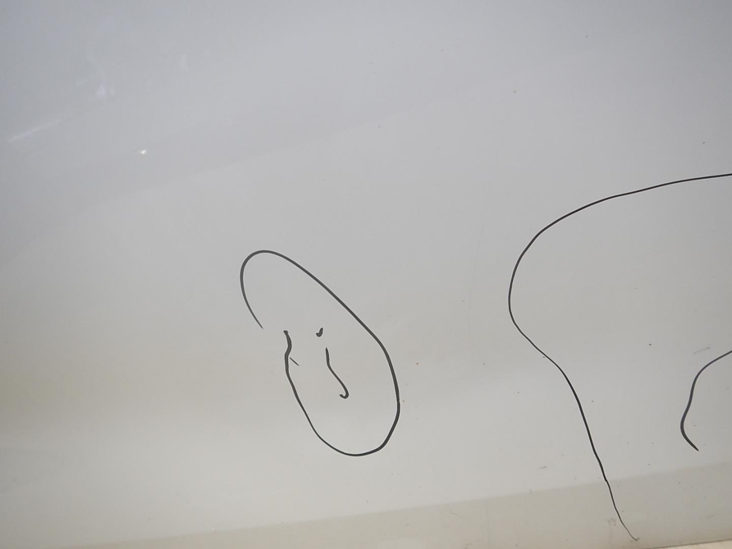 Дверь передняя правая