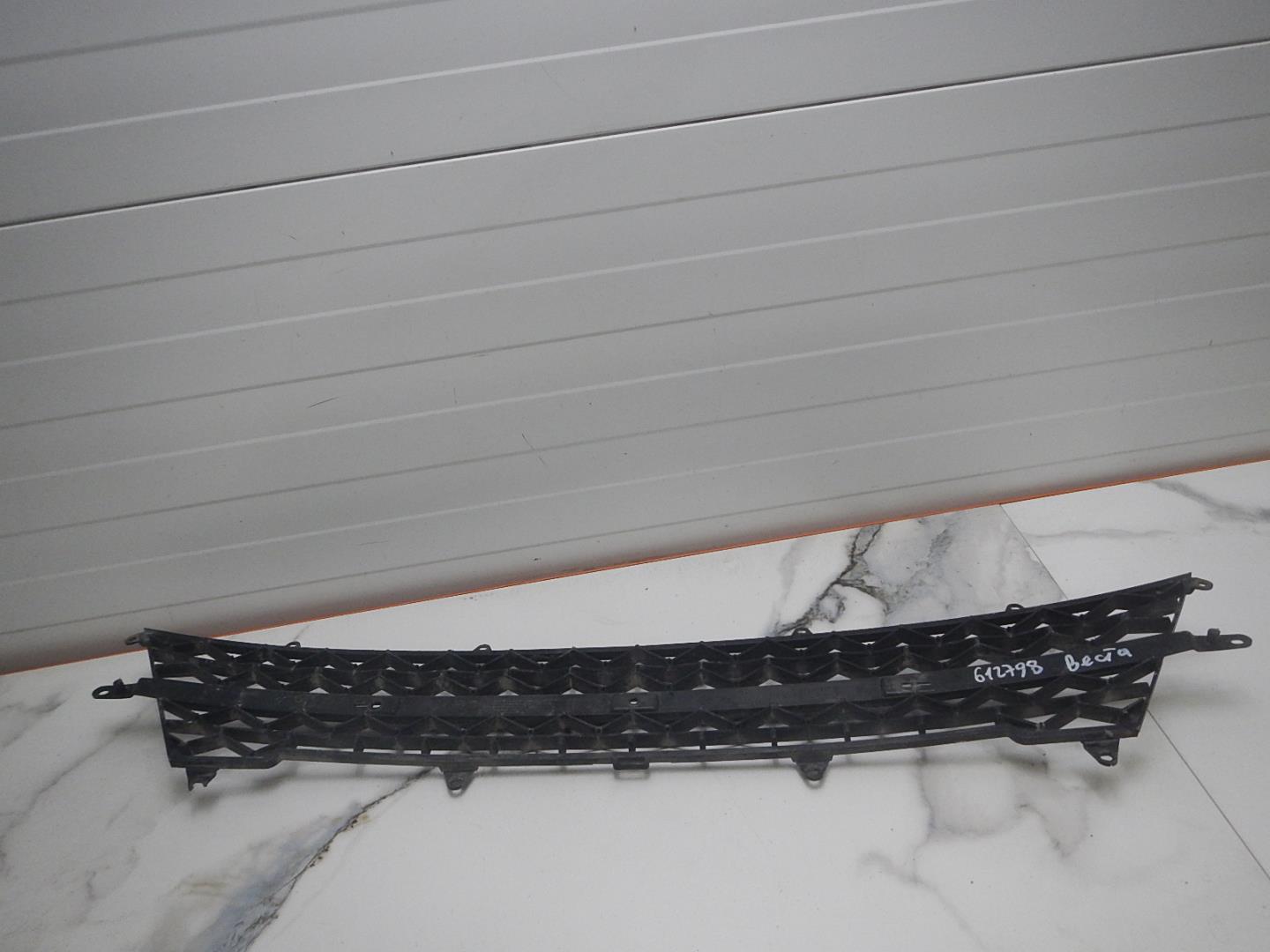 Решетка в бампер центральная