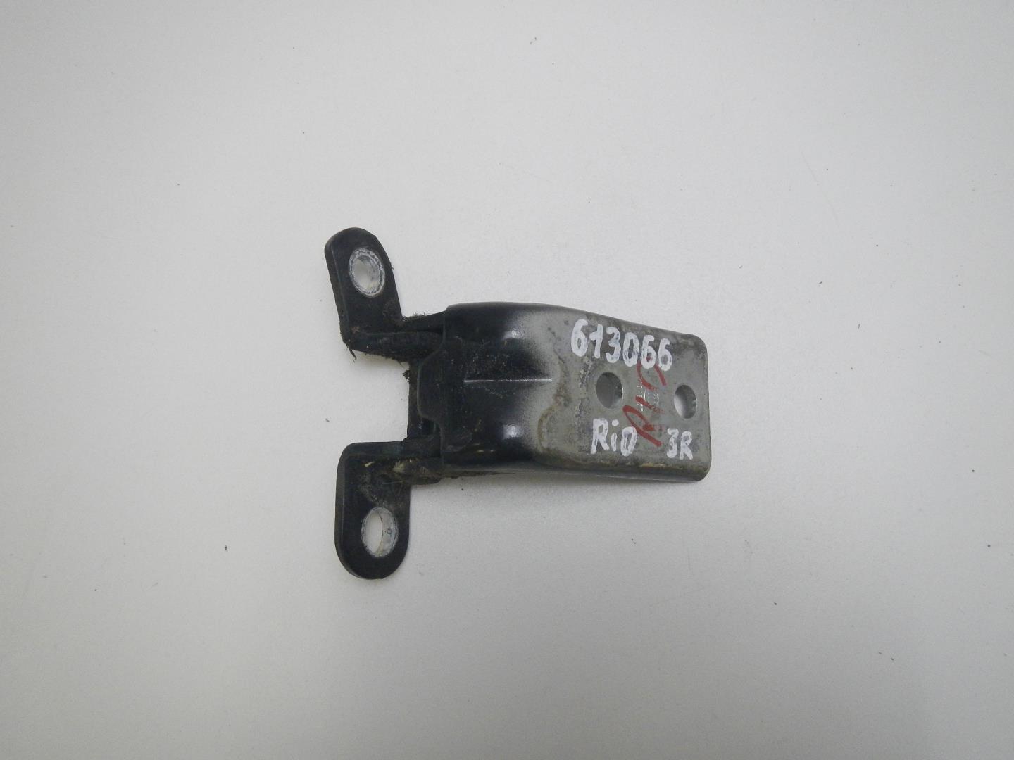 Петля двери задней правой нижняя