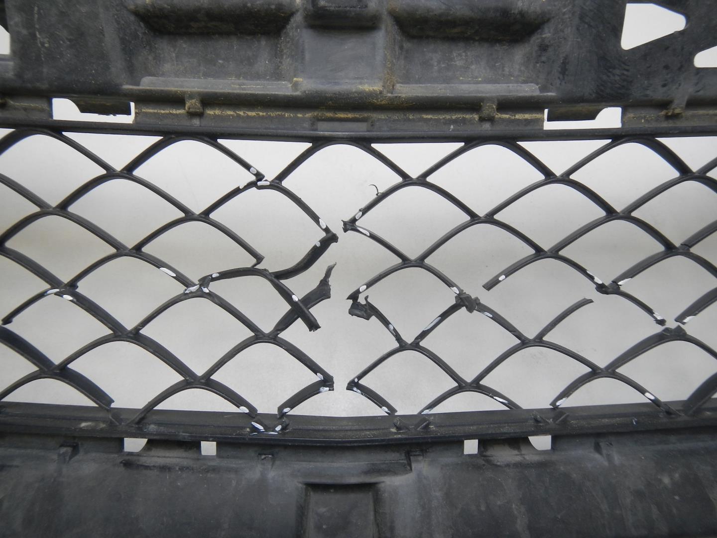 Решетка в бампер центральная