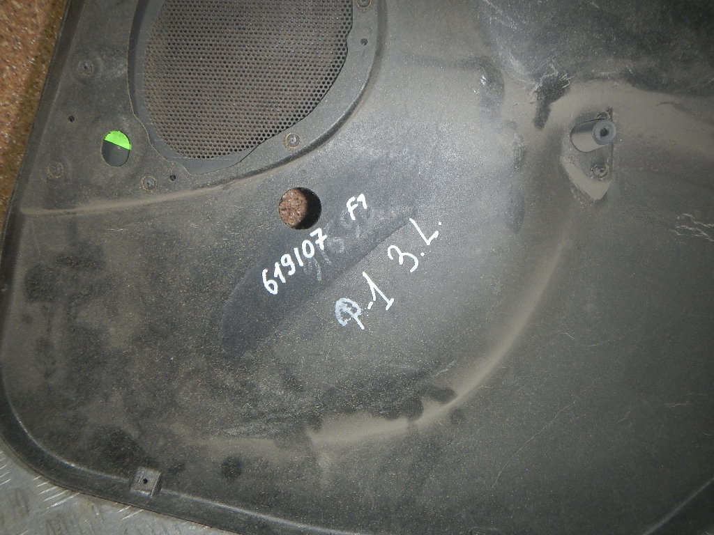 Обшивка двери задней левой