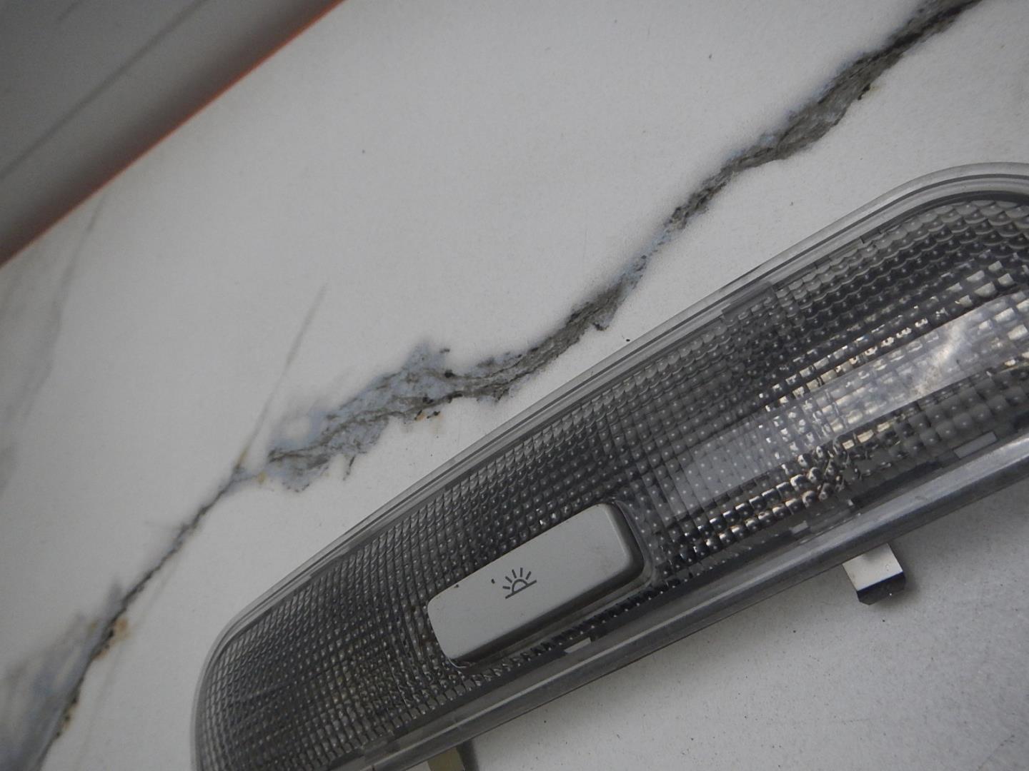 Плафон салонный