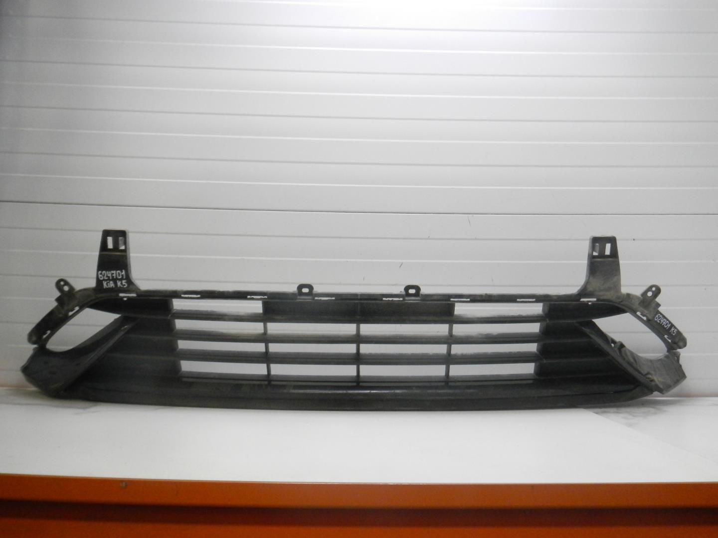 Решетка в бампер центральная