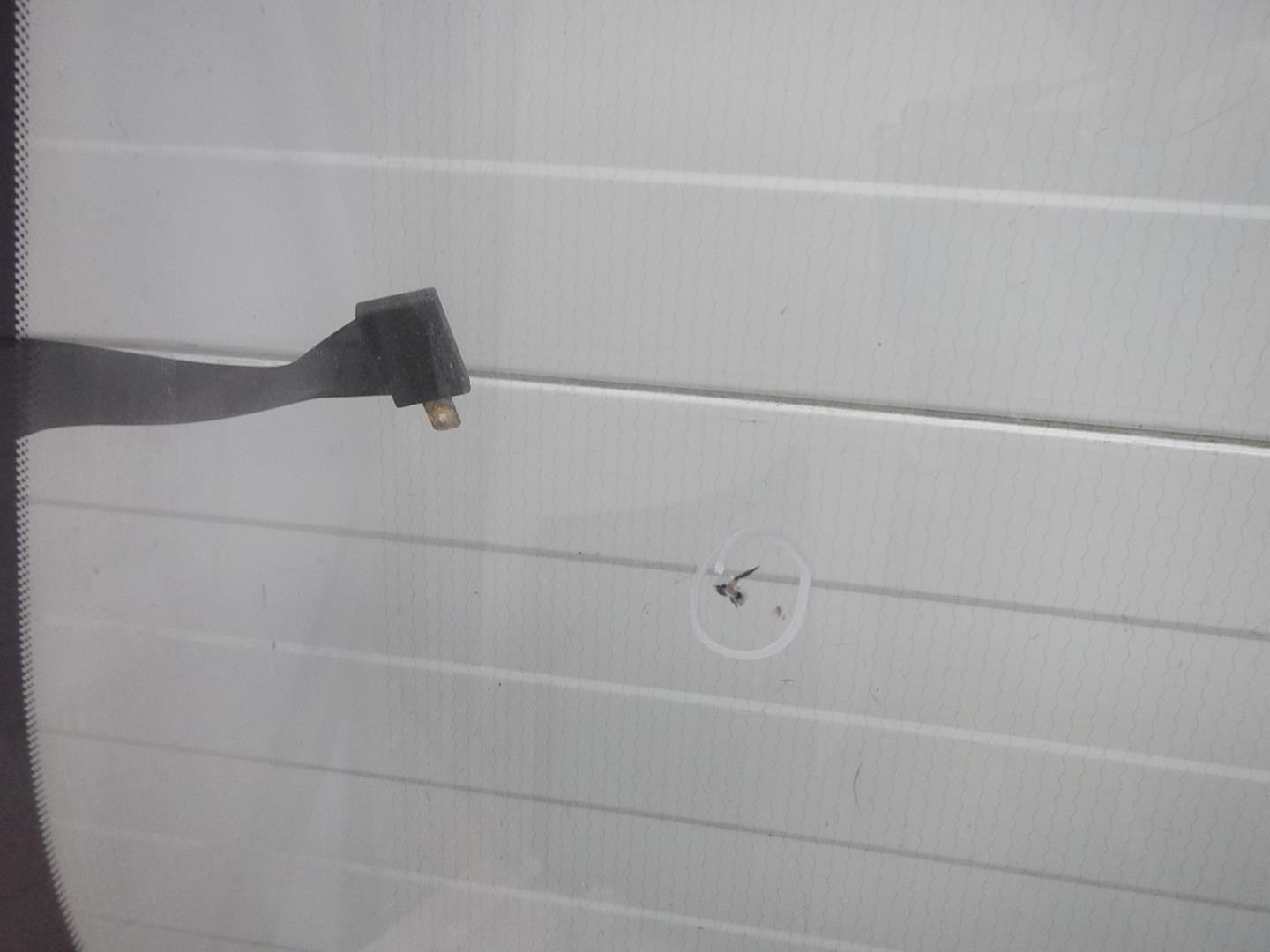 Стекло лобовое (ветровое)