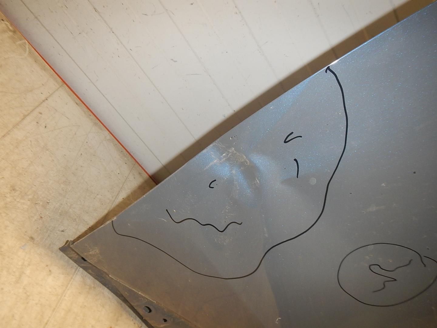 Дверь передняя левая