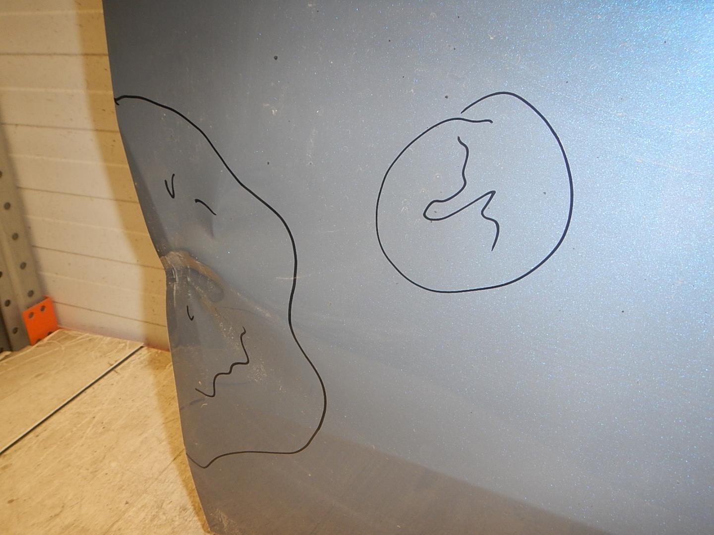 Дверь передняя левая