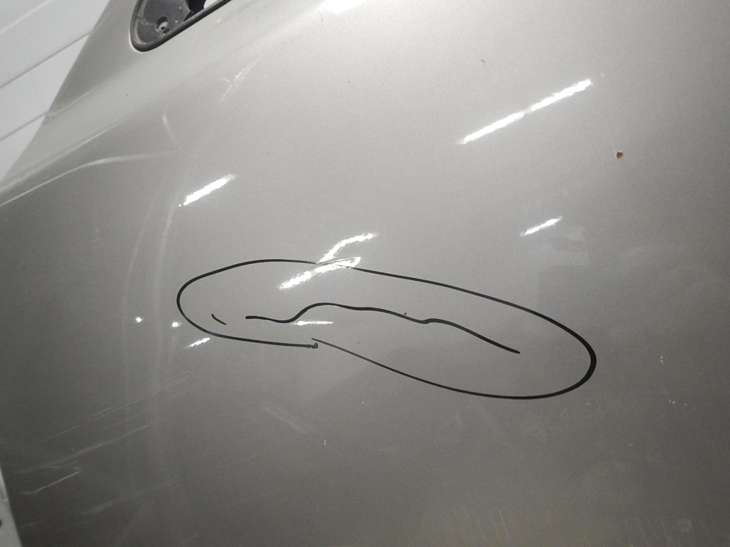 Дверь передняя левая