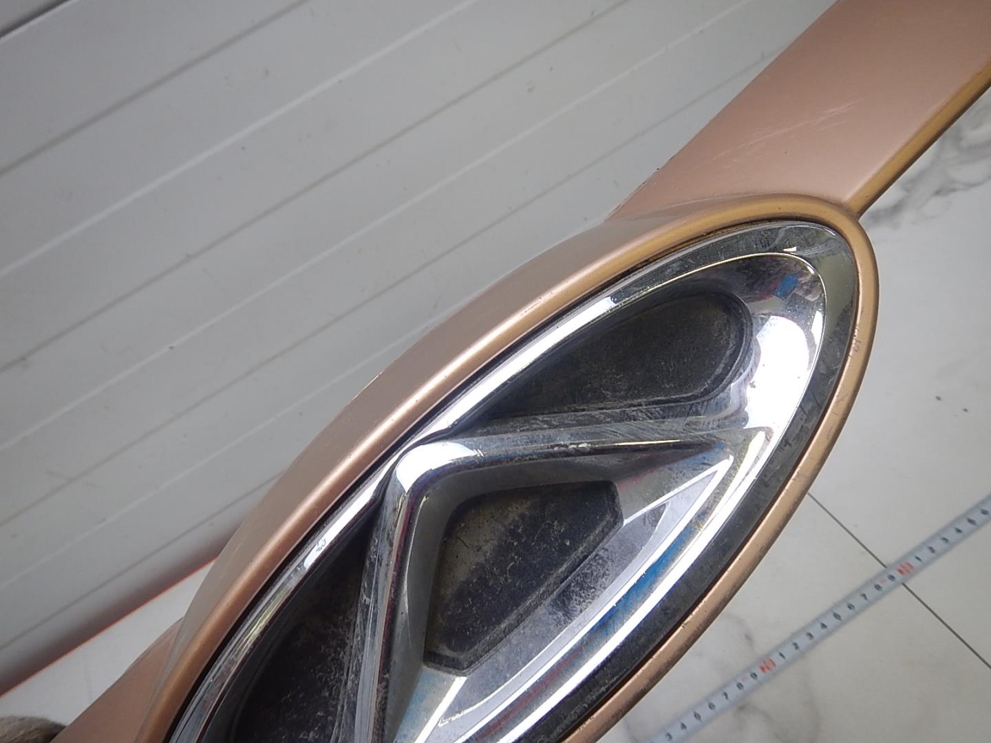 Накладка на решетку радиатора