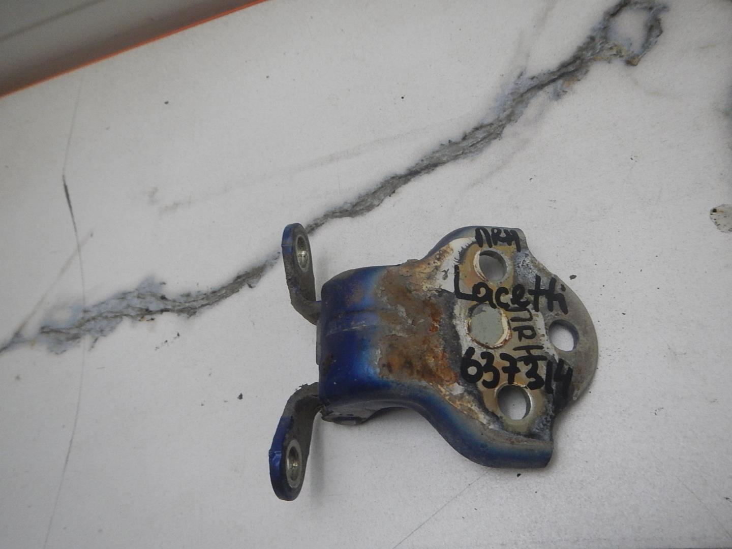 Петля двери передней правой нижняя