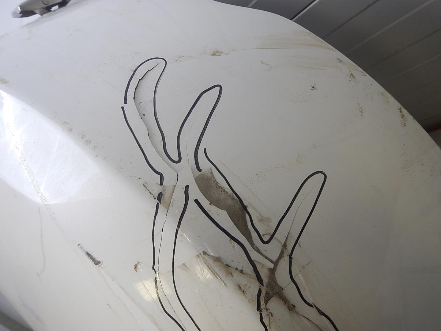 Чехол запасного колеса