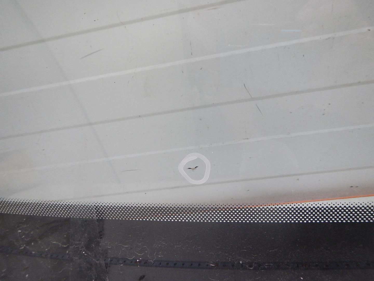 Стекло лобовое (ветровое)