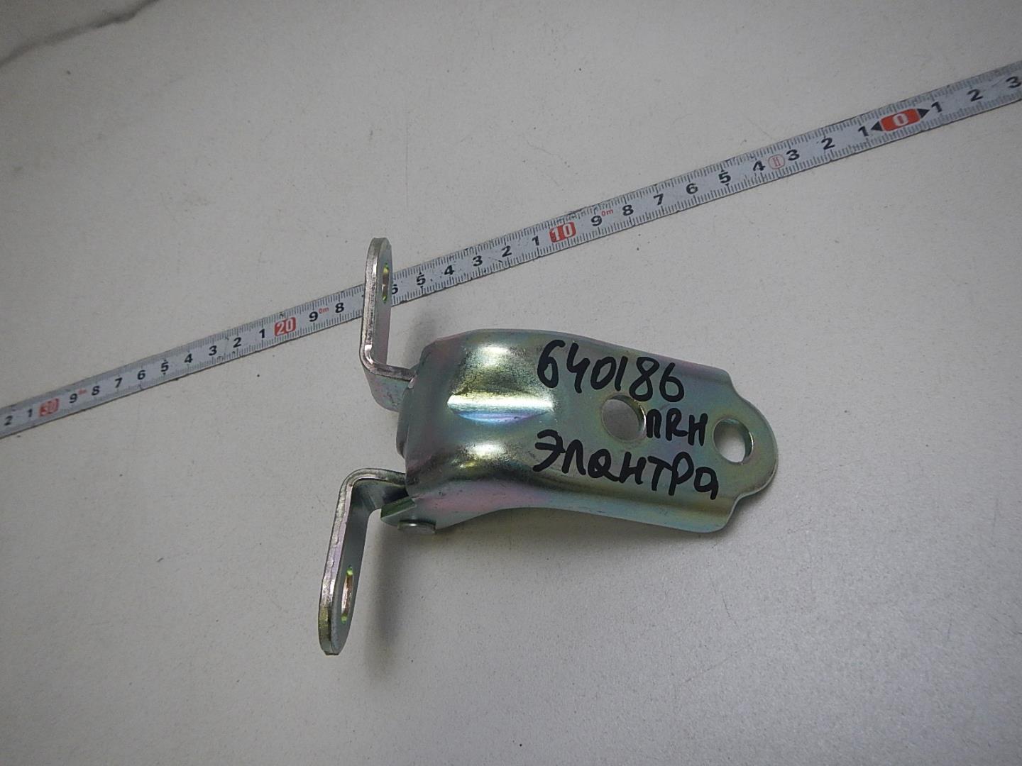 Петля двери передней правой нижняя