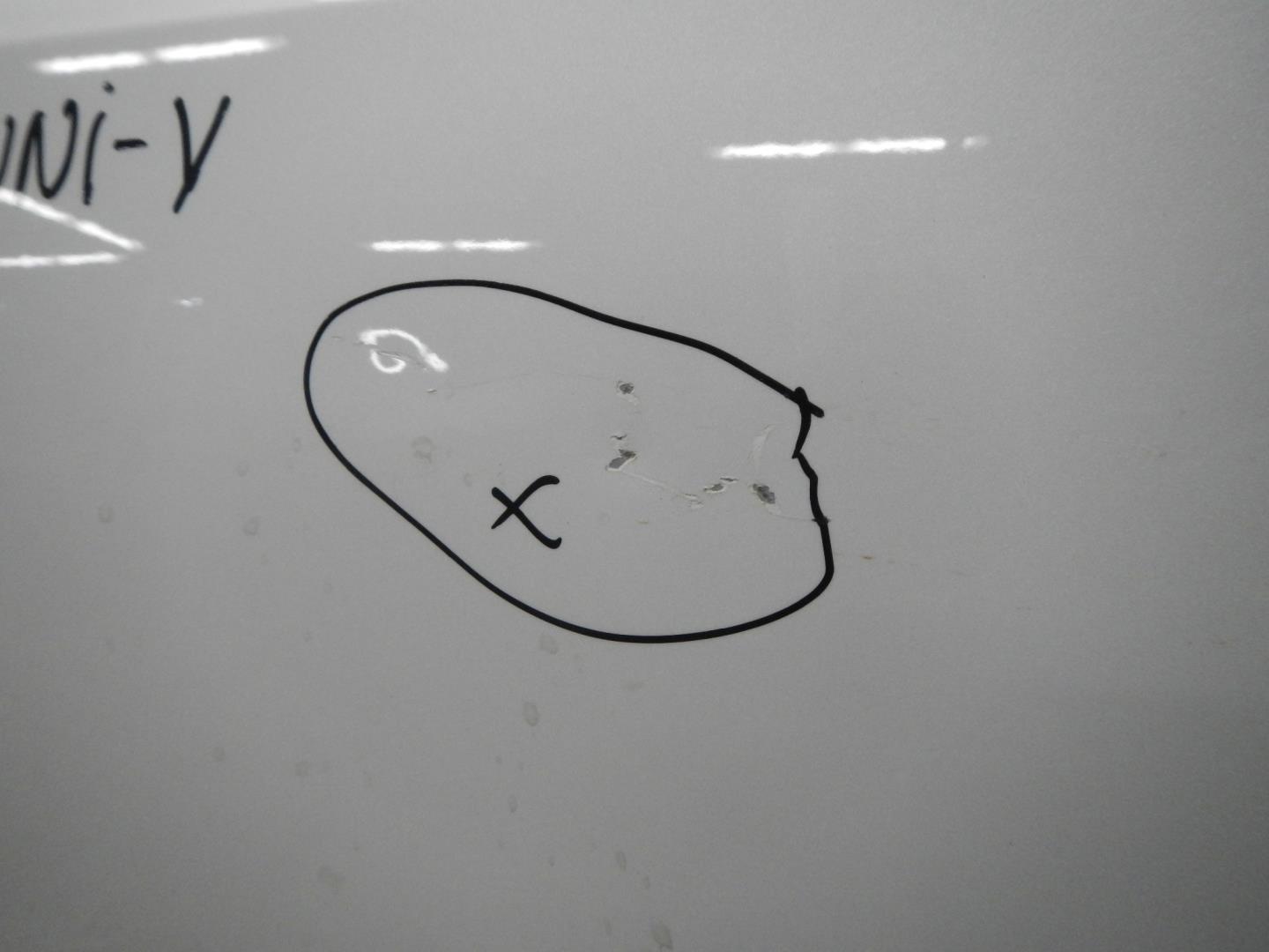 Дверь передняя правая