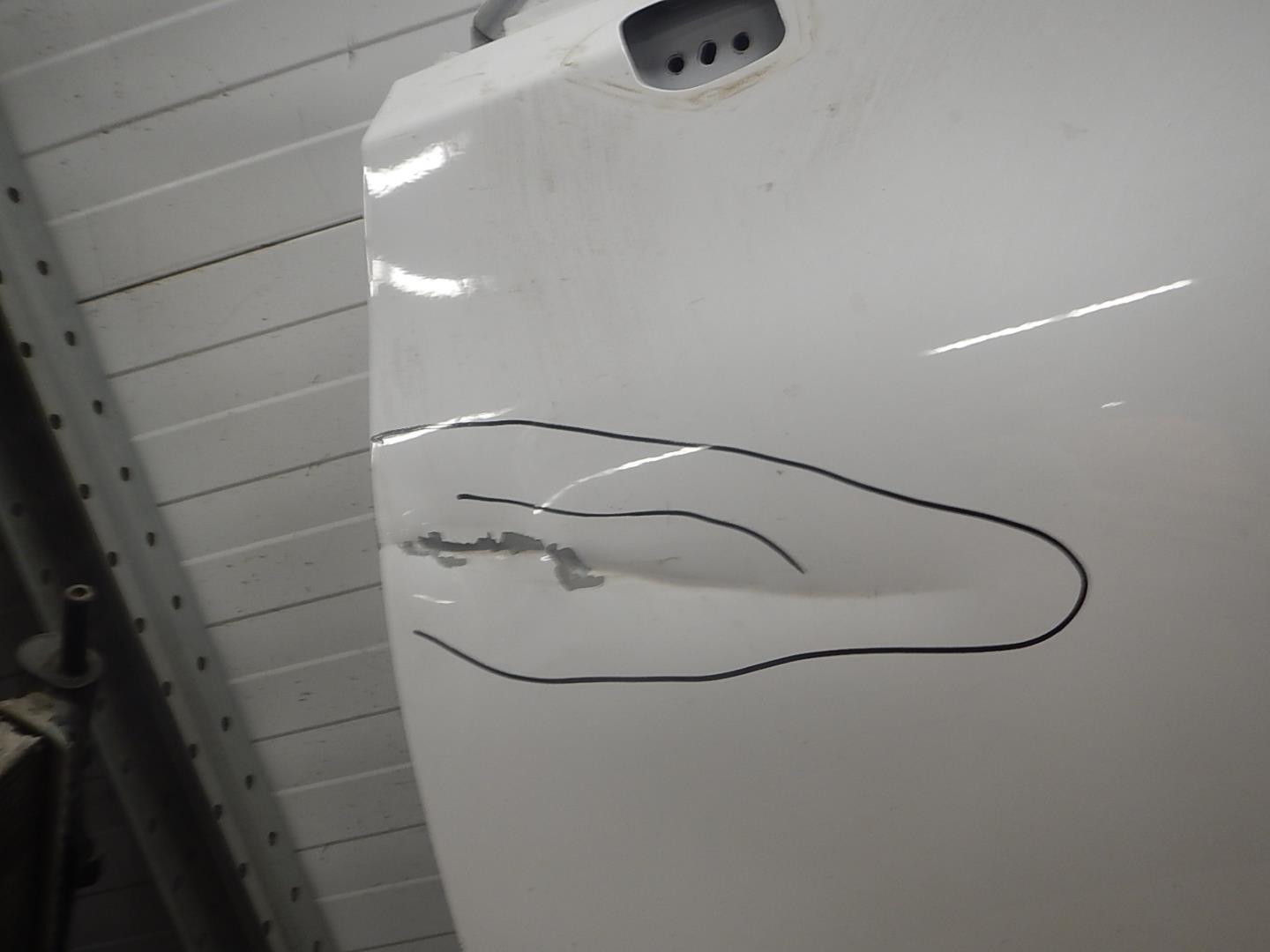 Дверь передняя левая