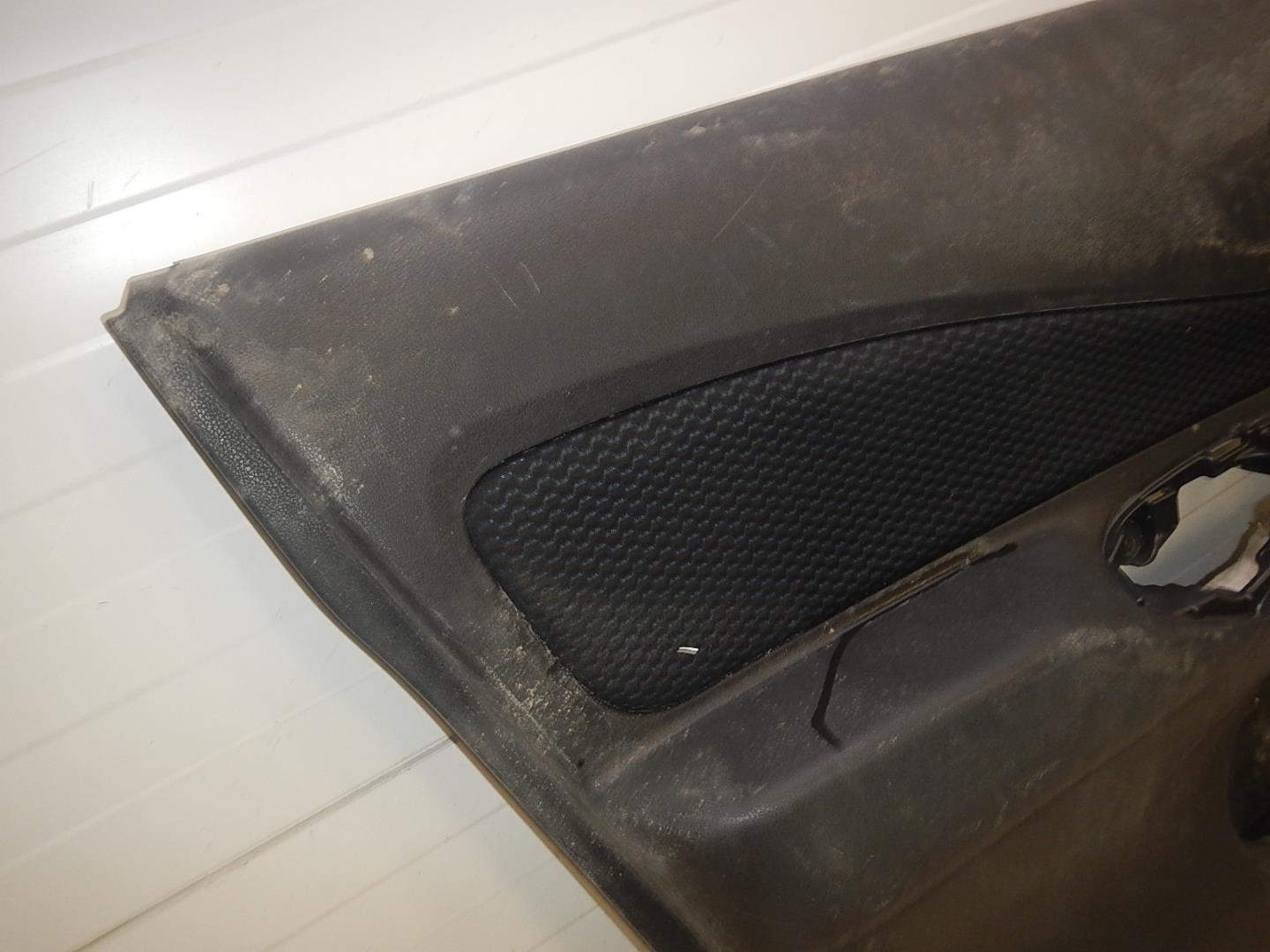 Обшивка двери передней левой