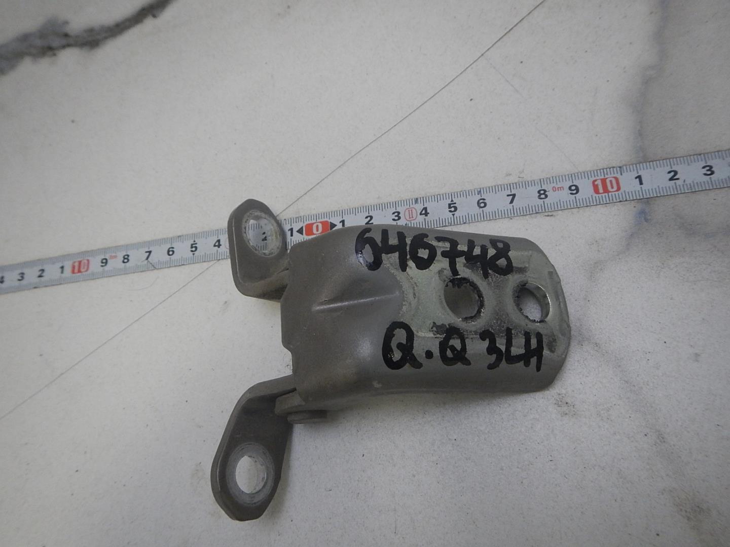 Петля двери задней левой нижняя