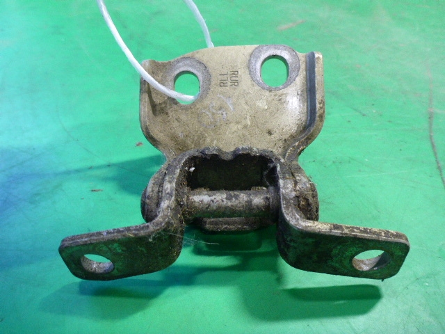 Петля двери задней левой нижняя