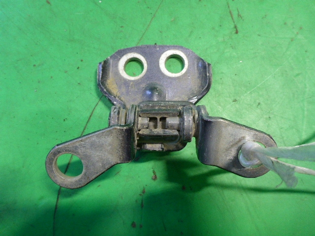 Петля двери задней левой нижняя