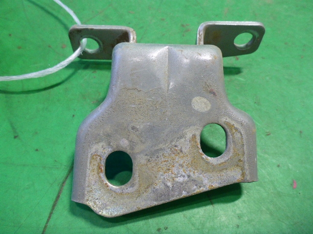 Петля двери передней правой нижняя