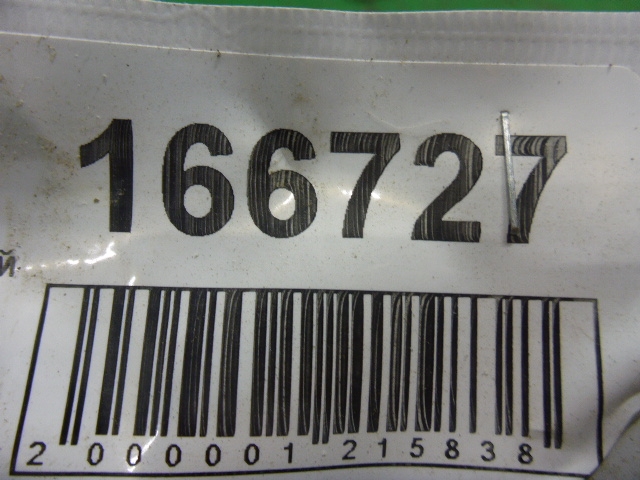 Петля двери задней левой нижняя