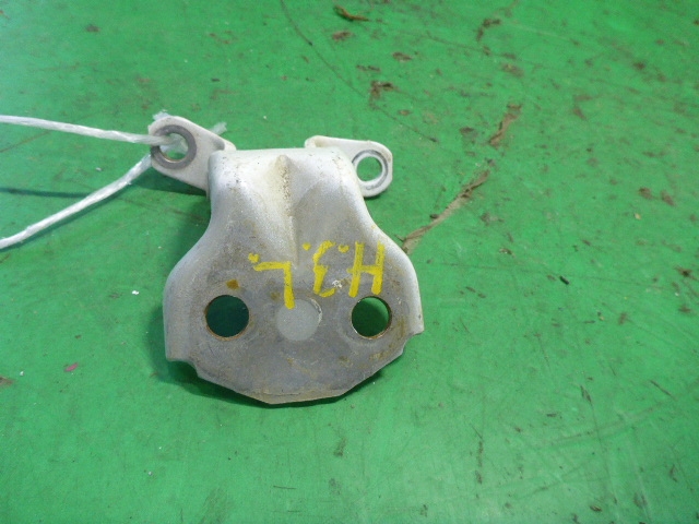 Петля двери задней левой нижняя