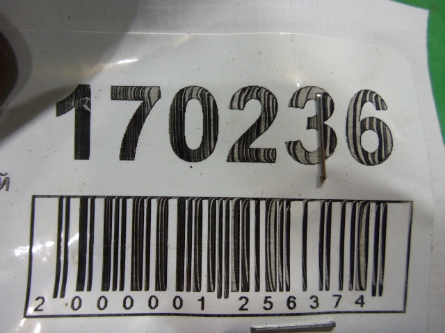 Петля двери задней правой нижняя