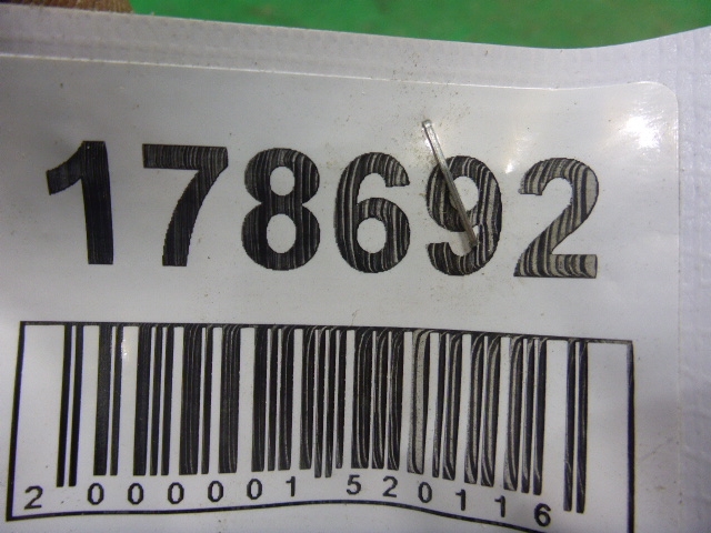 Петля двери задней левой нижняя