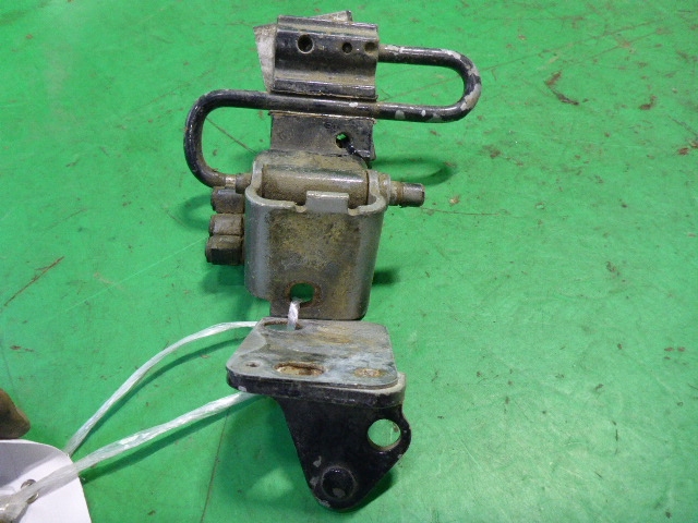 Петля двери задней левой нижняя