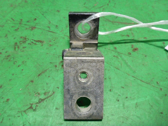 Петля двери задней правой нижняя