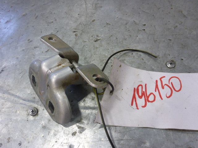 Петля двери задней левой нижняя