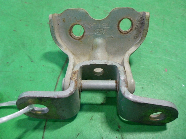 Петля двери передней правой нижняя