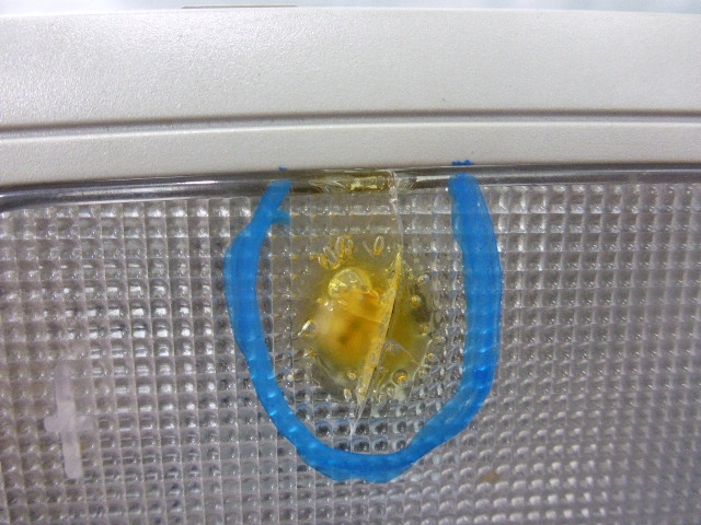 Плафон салонный