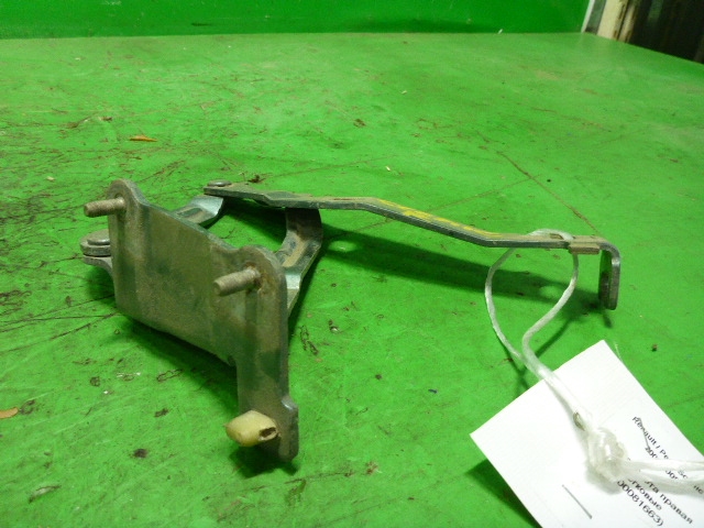 Петля капота правая