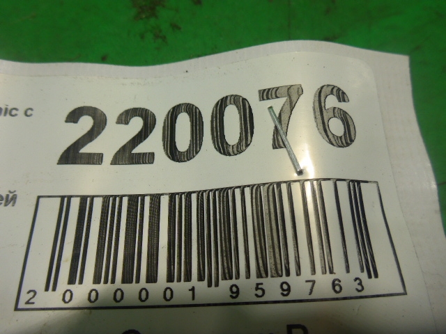 Петля двери задней правой нижняя