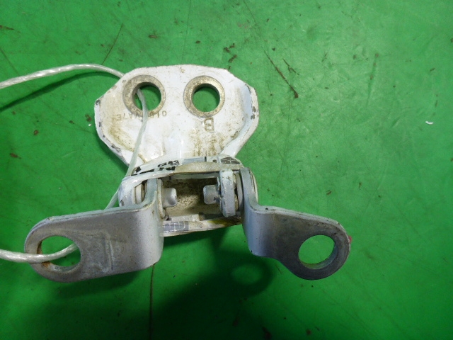 Петля двери задней правой нижняя