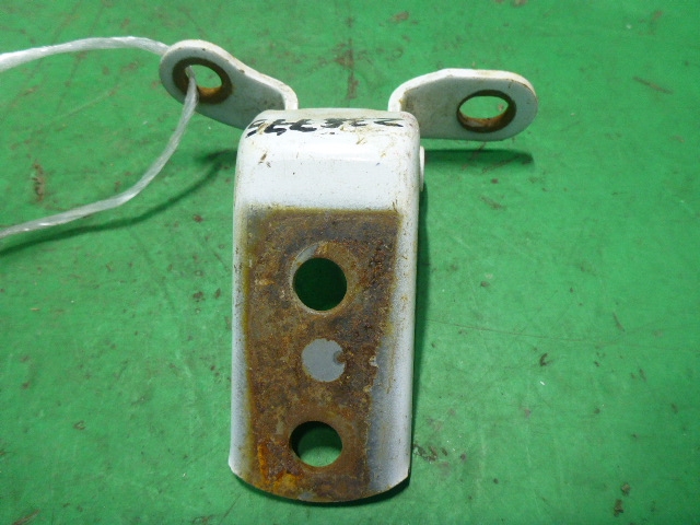 Петля двери задней левой нижняя